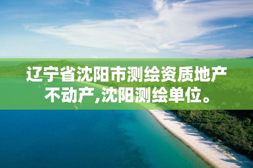 遼寧省沈陽市測(cè)繪資質(zhì)地產(chǎn)不動(dòng)產(chǎn),沈陽測(cè)繪單位。