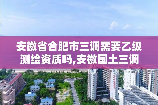 安徽省合肥市三調(diào)需要乙級測繪資質(zhì)嗎,安徽國土三調(diào)。