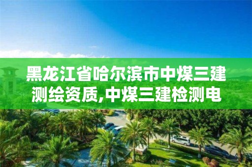 黑龍江省哈爾濱市中煤三建測繪資質,中煤三建檢測電話。