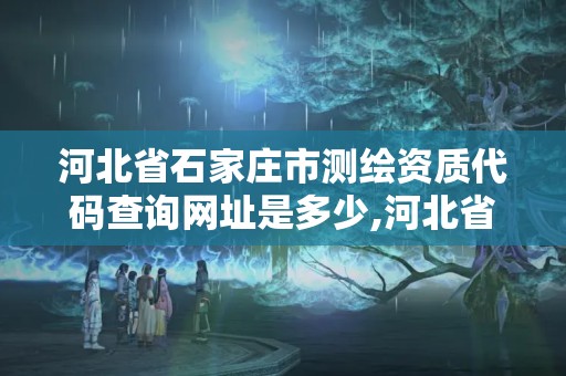 河北省石家莊市測繪資質代碼查詢網址是多少,河北省石家莊市測繪資質代碼查詢網址是多少號。