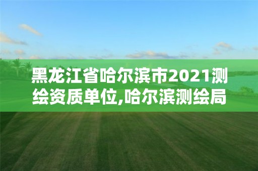 黑龍江省哈爾濱市2021測繪資質單位,哈爾濱測繪局怎么樣