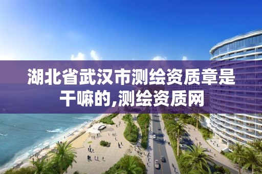 湖北省武漢市測繪資質章是干嘛的,測繪資質網