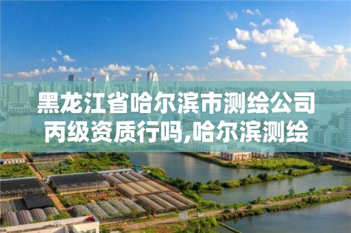 黑龍江省哈爾濱市測繪公司丙級資質行嗎,哈爾濱測繪內業招聘