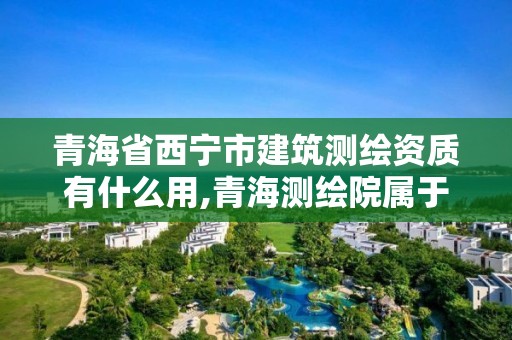 青海省西寧市建筑測繪資質(zhì)有什么用,青海測繪院屬于什么單位