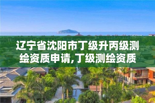 遼寧省沈陽市丁級升丙級測繪資質申請,丁級測繪資質人員要求。