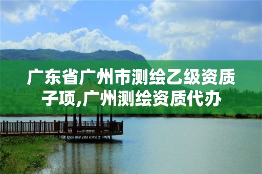 廣東省廣州市測(cè)繪乙級(jí)資質(zhì)子項(xiàng),廣州測(cè)繪資質(zhì)代辦