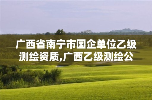 廣西省南寧市國(guó)企單位乙級(jí)測(cè)繪資質(zhì),廣西乙級(jí)測(cè)繪公司名單