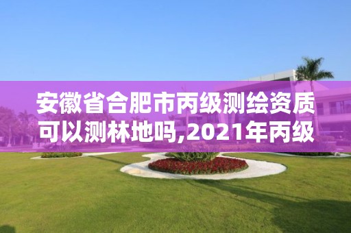 安徽省合肥市丙級測繪資質可以測林地嗎,2021年丙級測繪資質申請需要什么條件