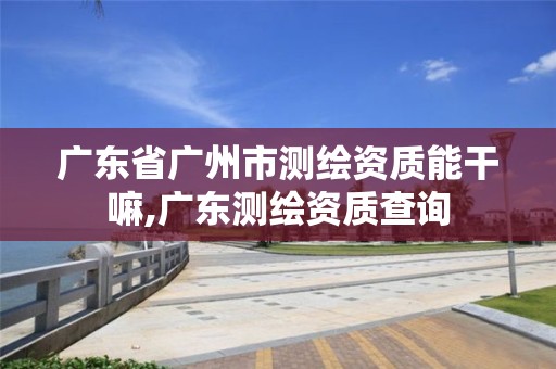 廣東省廣州市測繪資質能干嘛,廣東測繪資質查詢