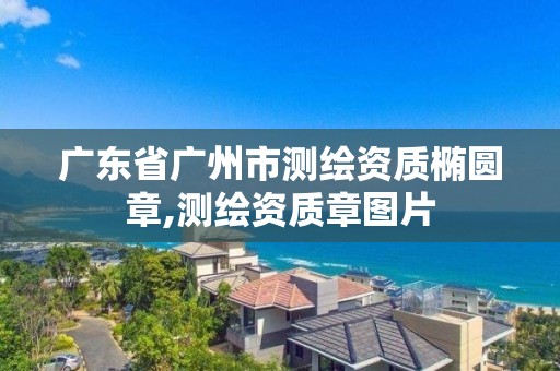 廣東省廣州市測繪資質(zhì)橢圓章,測繪資質(zhì)章圖片