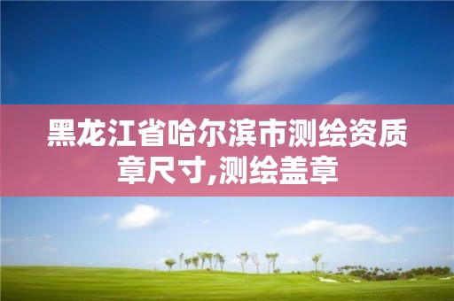 黑龍江省哈爾濱市測繪資質章尺寸,測繪蓋章