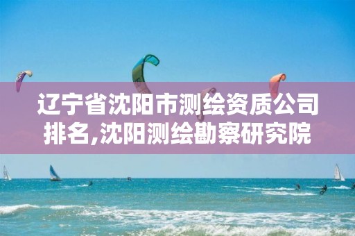 遼寧省沈陽市測繪資質(zhì)公司排名,沈陽測繪勘察研究院有限公司