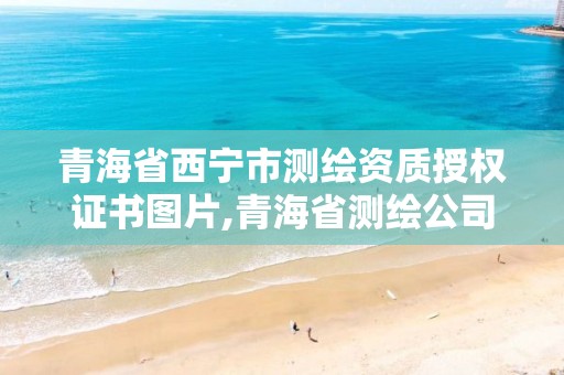 青海省西寧市測繪資質(zhì)授權(quán)證書圖片,青海省測繪公司。