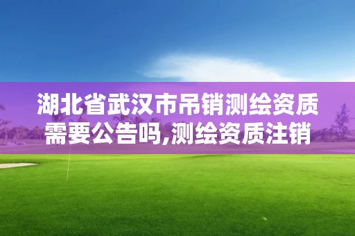 湖北省武漢市吊銷測繪資質需要公告嗎,測繪資質注銷流程。