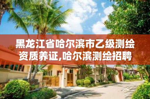 黑龍江省哈爾濱市乙級測繪資質養證,哈爾濱測繪招聘