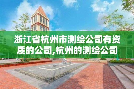 浙江省杭州市測繪公司有資質的公司,杭州的測繪公司有哪些。