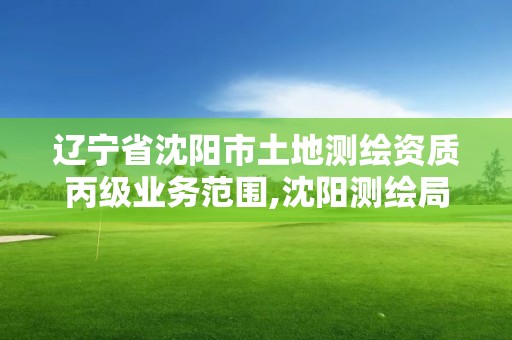 遼寧省沈陽市土地測繪資質丙級業務范圍,沈陽測繪局招聘。