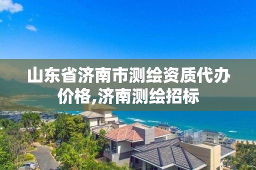 山東省濟南市測繪資質代辦價格,濟南測繪招標