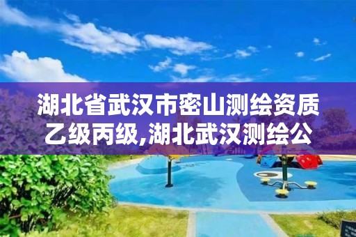 湖北省武漢市密山測繪資質乙級丙級,湖北武漢測繪公司排行榜