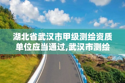 湖北省武漢市甲級測繪資質單位應當通過,武漢市測繪工程技術規定