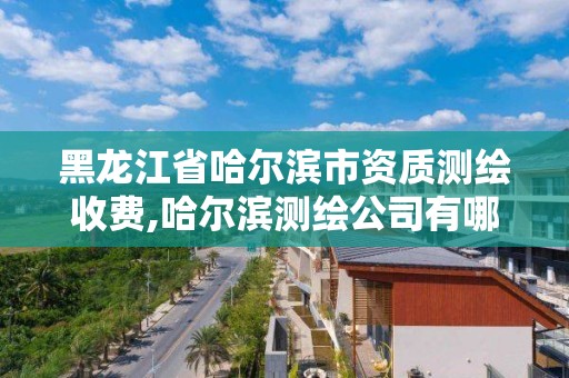 黑龍江省哈爾濱市資質(zhì)測繪收費(fèi),哈爾濱測繪公司有哪些