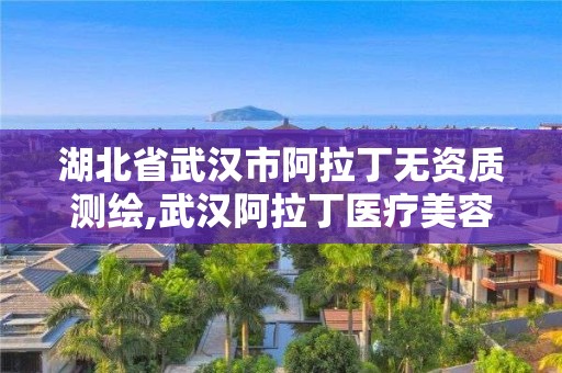 湖北省武漢市阿拉丁無資質(zhì)測繪,武漢阿拉丁醫(yī)療美容。