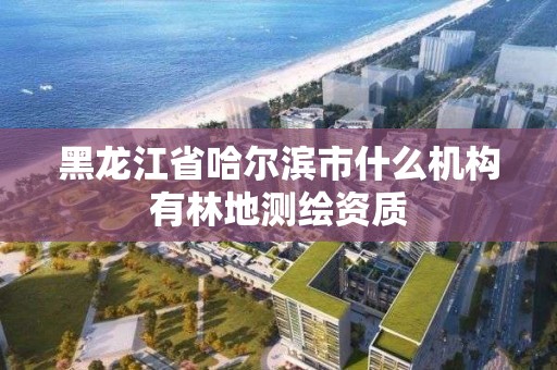 黑龍江省哈爾濱市什么機構有林地測繪資質