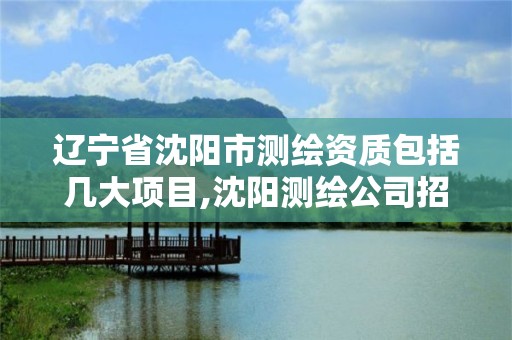 遼寧省沈陽市測繪資質包括幾大項目,沈陽測繪公司招聘信息最新招聘。