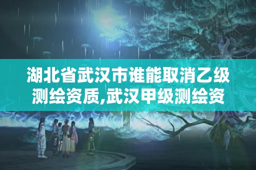 湖北省武漢市誰能取消乙級測繪資質,武漢甲級測繪資質名錄。