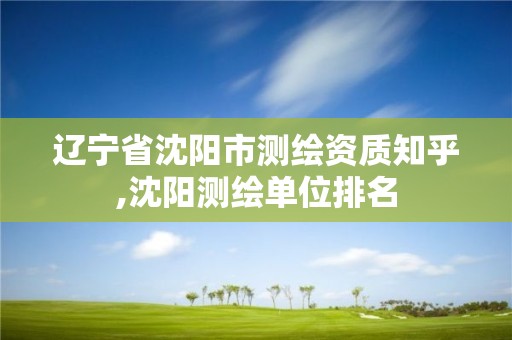 遼寧省沈陽市測繪資質知乎,沈陽測繪單位排名