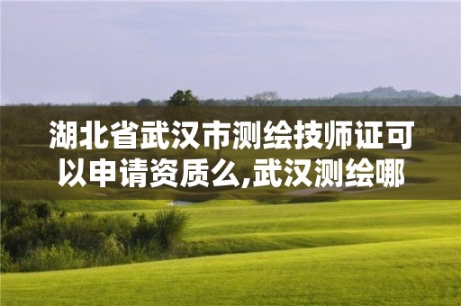 湖北省武漢市測繪技師證可以申請資質么,武漢測繪哪些單位比較好。