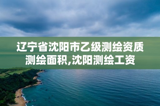 遼寧省沈陽市乙級測繪資質測繪面積,沈陽測繪工資