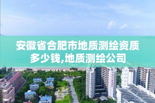 安徽省合肥市地質測繪資質多少錢,地質測繪公司