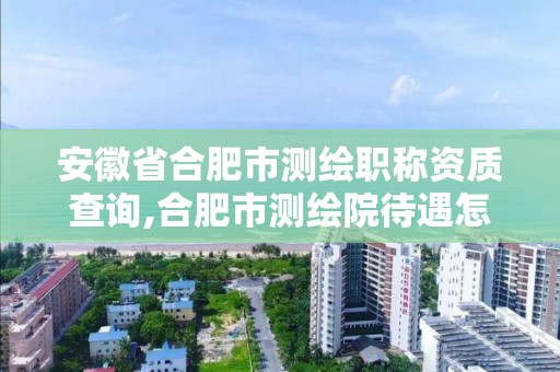 安徽省合肥市測繪職稱資質(zhì)查詢,合肥市測繪院待遇怎么樣