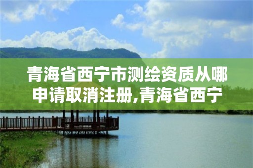 青海省西寧市測繪資質從哪申請取消注冊,青海省西寧市測繪資質從哪申請取消注冊。