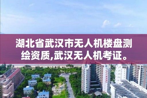 湖北省武漢市無人機樓盤測繪資質,武漢無人機考證。