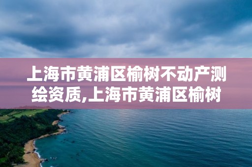 上海市黃浦區榆樹不動產測繪資質,上海市黃浦區榆樹不動產測繪資質公示。