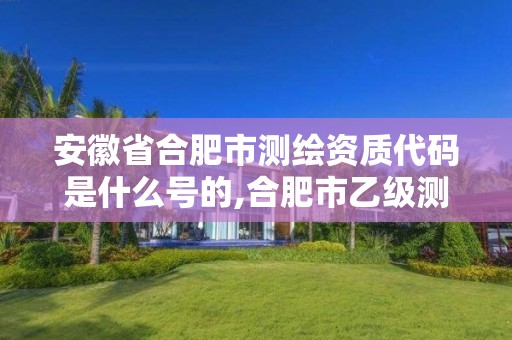 安徽省合肥市測繪資質代碼是什么號的,合肥市乙級測繪公司