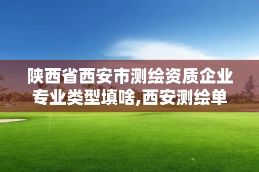 陜西省西安市測(cè)繪資質(zhì)企業(yè)專(zhuān)業(yè)類(lèi)型填啥,西安測(cè)繪單位。