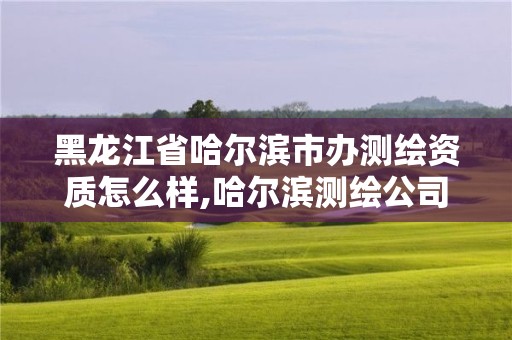 黑龍江省哈爾濱市辦測繪資質(zhì)怎么樣,哈爾濱測繪公司電話。