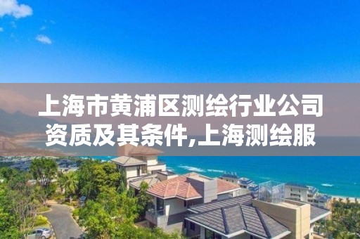 上海市黃浦區測繪行業公司資質及其條件,上海測繪服務中心。