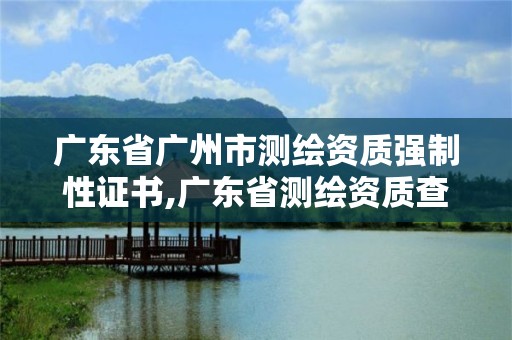 廣東省廣州市測繪資質強制性證書,廣東省測繪資質查詢。