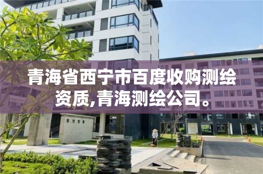 青海省西寧市百度收購測繪資質(zhì),青海測繪公司。