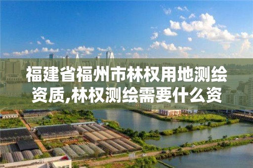 福建省福州市林權用地測繪資質,林權測繪需要什么資質。