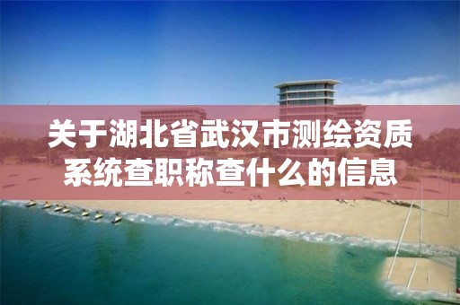 關于湖北省武漢市測繪資質系統查職稱查什么的信息