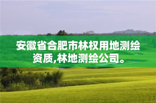 安徽省合肥市林權用地測繪資質,林地測繪公司。