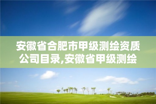 安徽省合肥市甲級測繪資質公司目錄,安徽省甲級測繪資質單位。