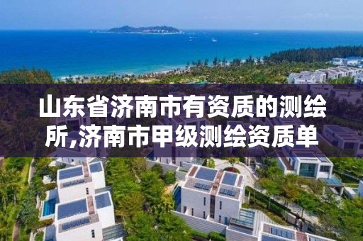 山東省濟南市有資質的測繪所,濟南市甲級測繪資質單位。