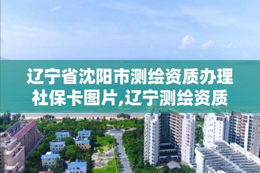 遼寧省沈陽市測繪資質辦理社保卡圖片,遼寧測繪資質查詢。