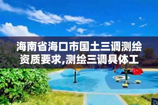 海南省?？谑袊寥{測繪資質要求,測繪三調具體工作內(nèi)容。